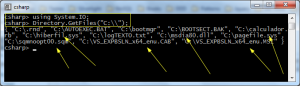 DirectoryGetFiles no CSharpREPL