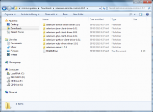 Selenium RC e Server