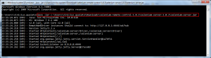 Selenium server running